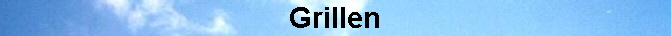  Grillen 
